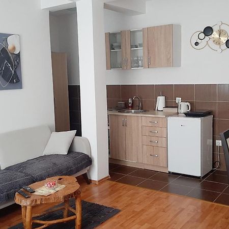 Appartamento Apartman Andric Višegrad Esterno foto